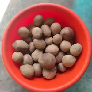 Dried Coconut Ball Copra
