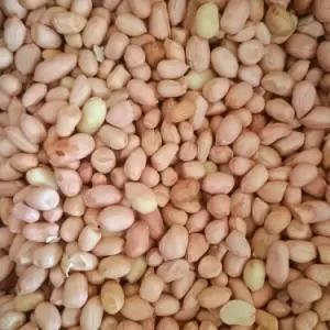 Groundnut Seeds - Naattukadalai