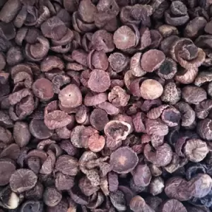 icon Betel Nuts