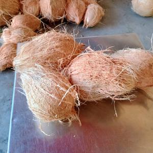 Fresh Coconut